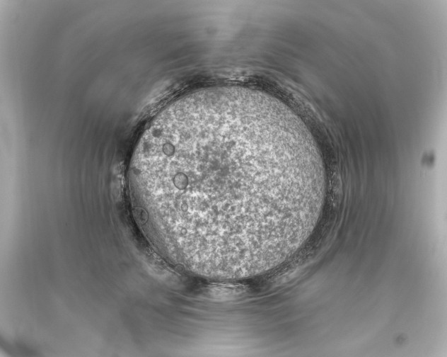 X0000093560707200711051037