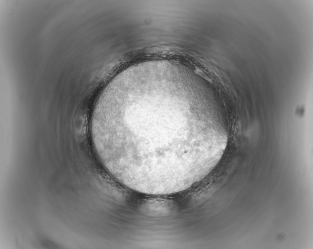 X0000093560708200711051037