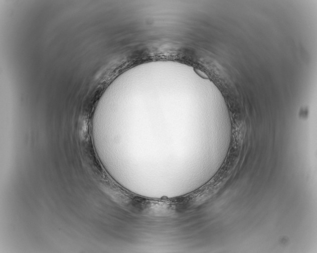 X0000093560709200711051037