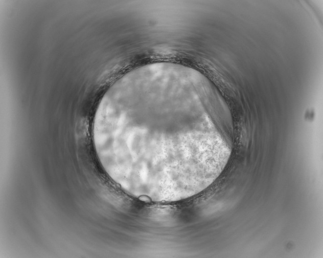 X0000093560711200711051037