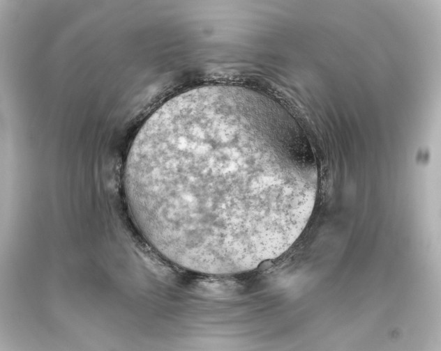 X0000093560712200711051037