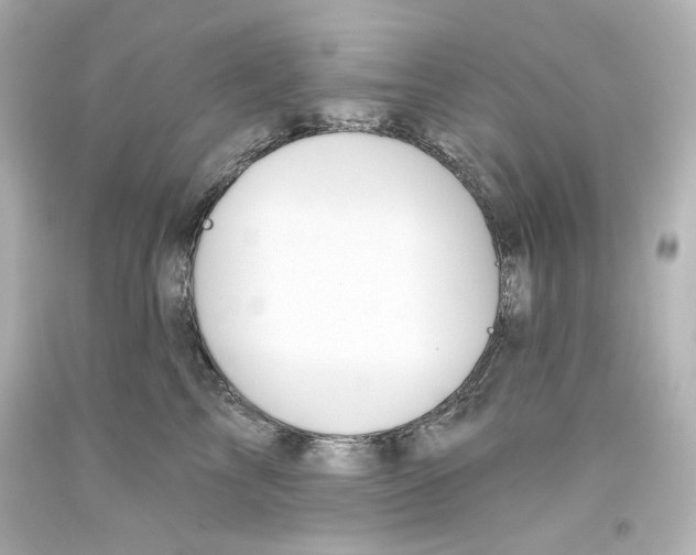 X0000093560713200711051037