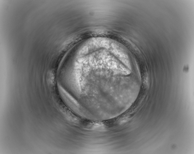 X0000093560715200711051037