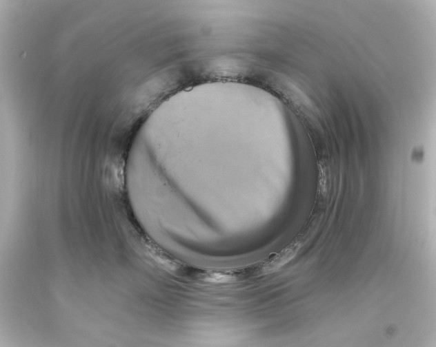 X0000093560718200711051037