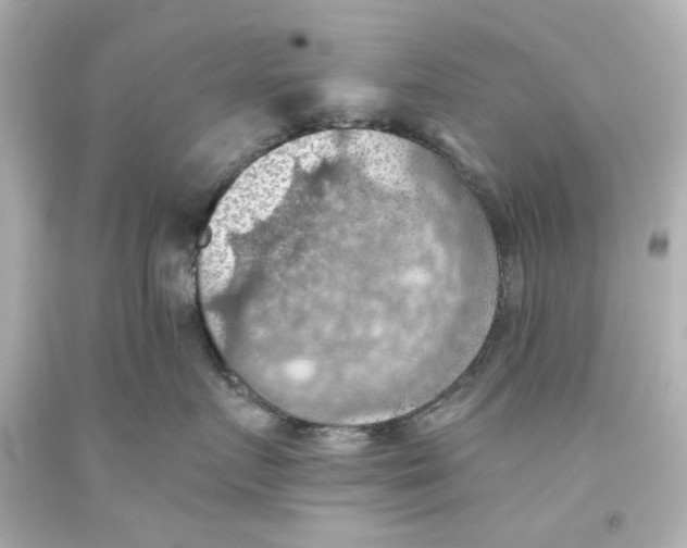 X0000093560719200711051037