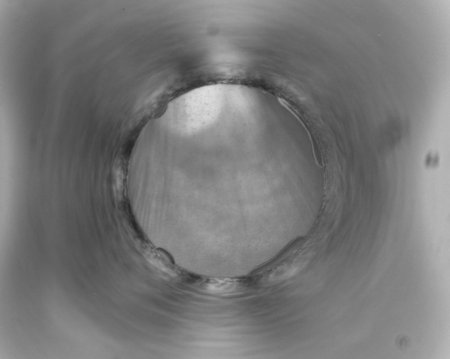 X0000093560720200711051037