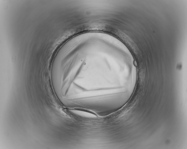 X0000093560721200711051037