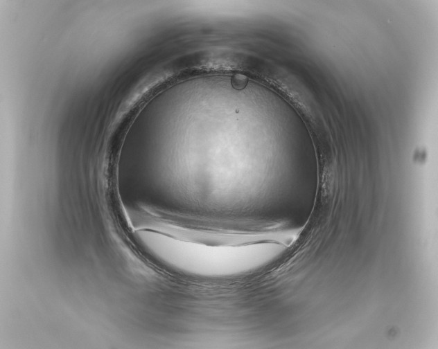 X0000093560722200711051037