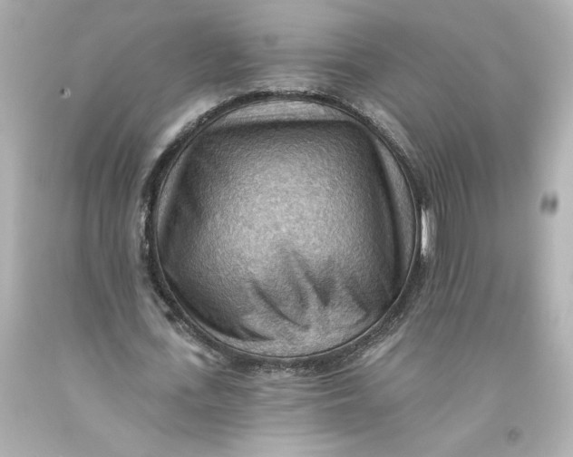 X0000093560723200711051037