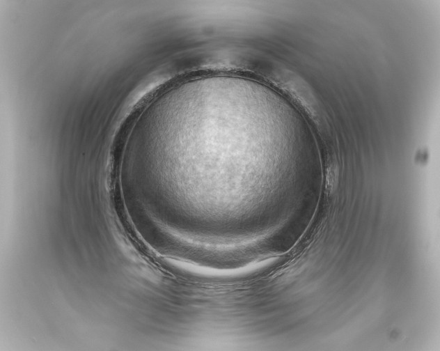 X0000093560724200711051037