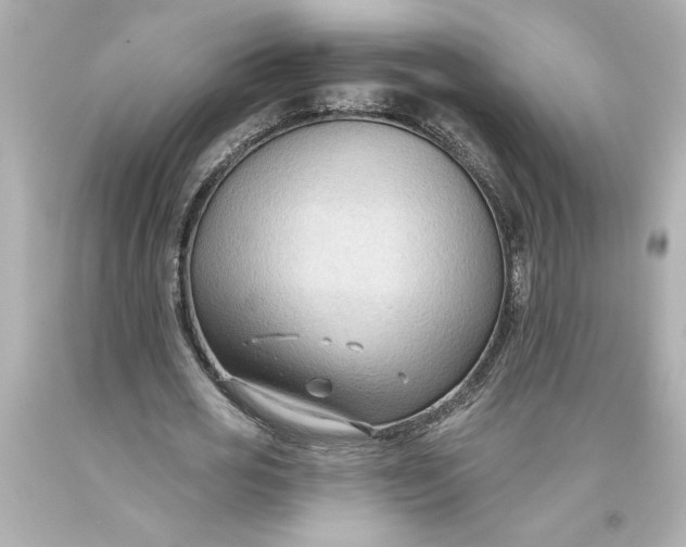 X0000093560725200711051037