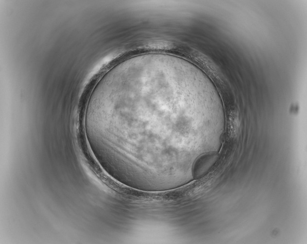 X0000093560726200711051037