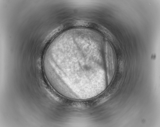 X0000093560729200711051037