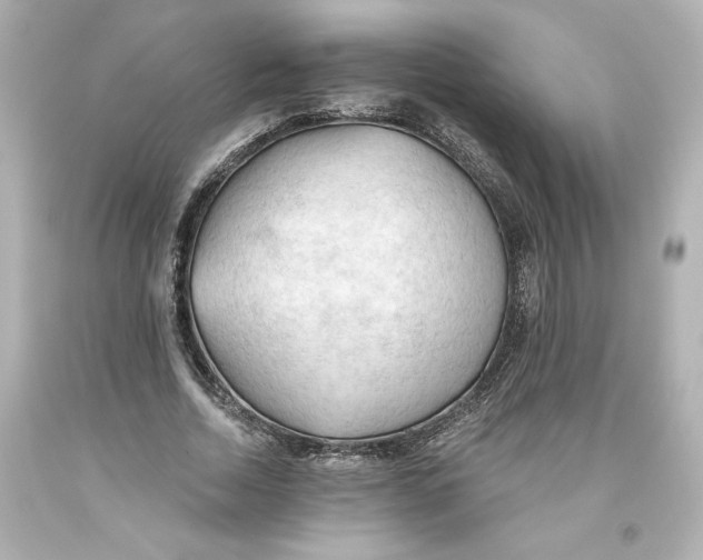 X0000093560730200711051037