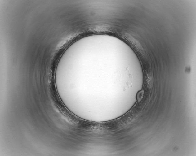 X0000093560732200711051037