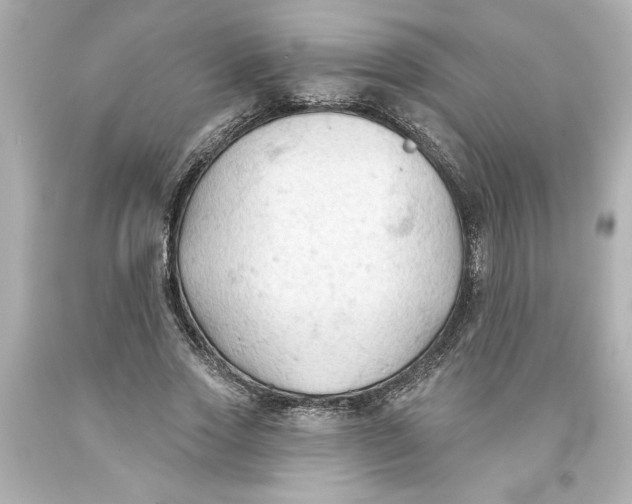 X0000093560733200711051037