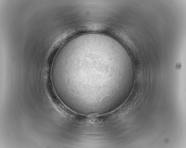 X0000093560736200711051037