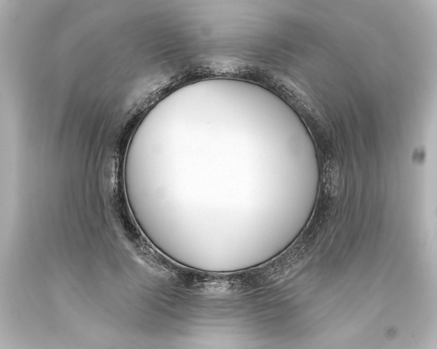 X0000093560740200711051037