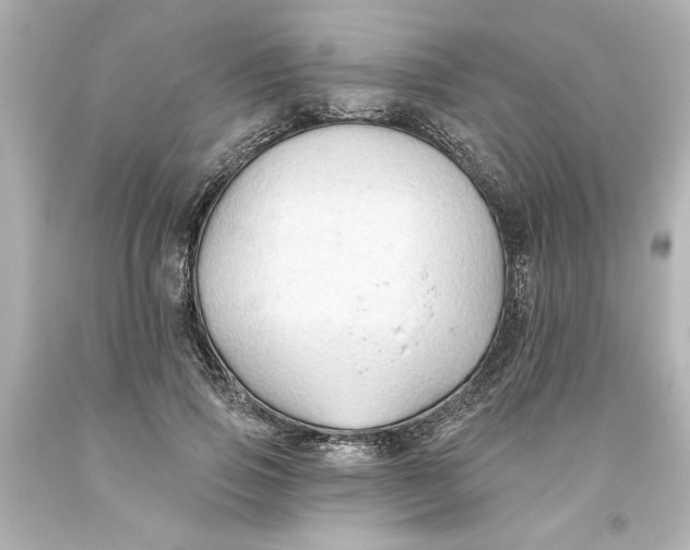 X0000093560741200711051037