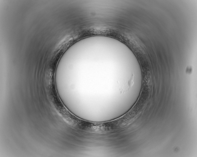 X0000093560744200711051037