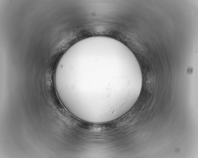 X0000093560746200711051037