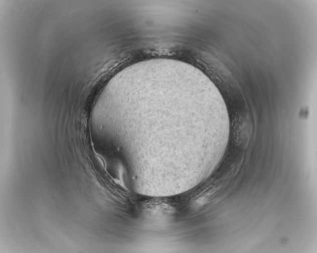 X0000093560747200711051037