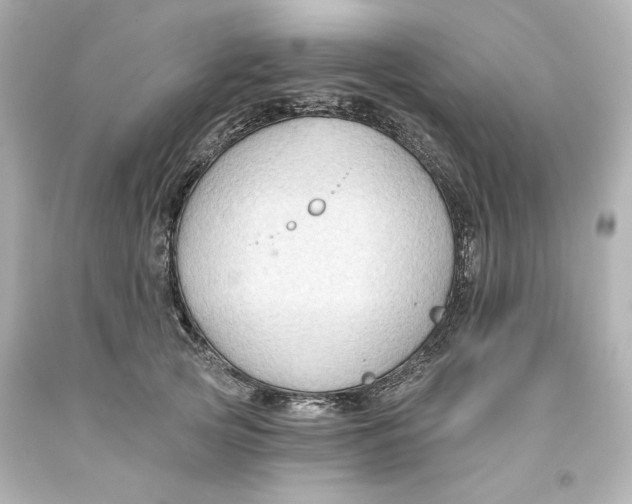 X0000093560753200711051037