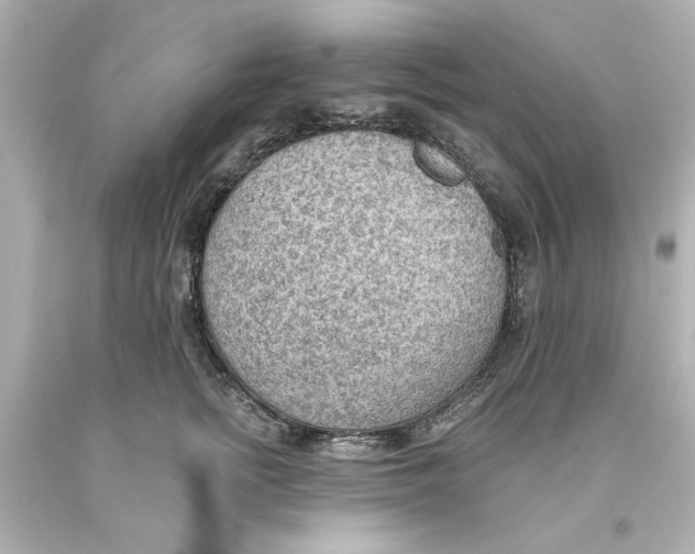 X0000093560758200711051037