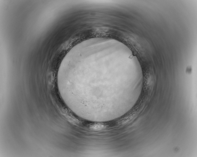 X0000093560759200711051037