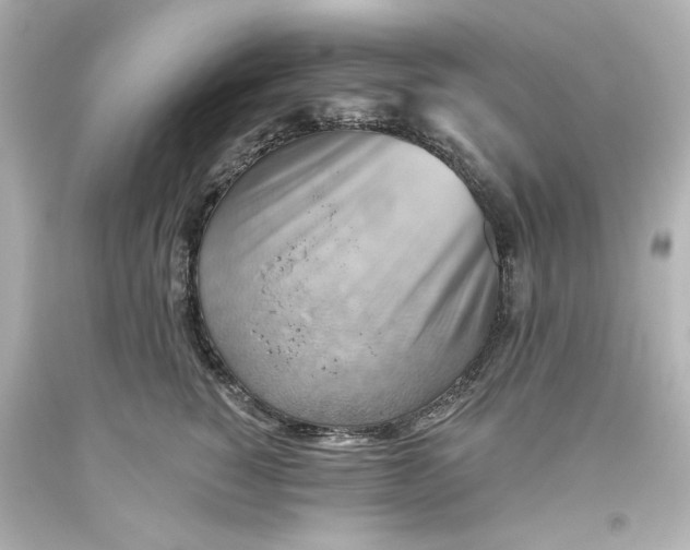 X0000093560760200711051037