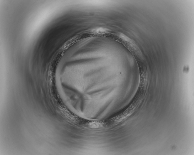 X0000093560762200711051037