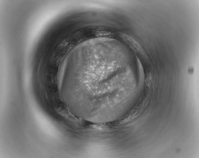 X0000093560763200711051037