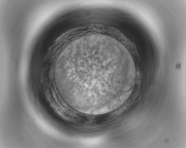 X0000093560765200711051037