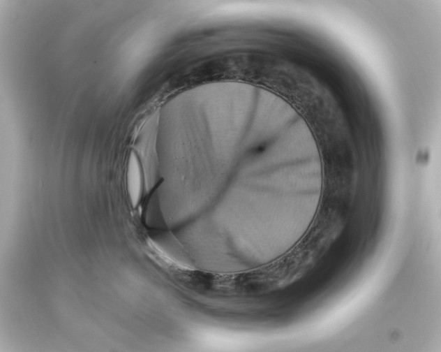 X0000093560766200711051037