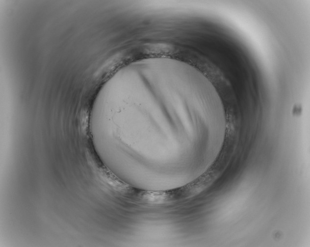 X0000093560767200711051037