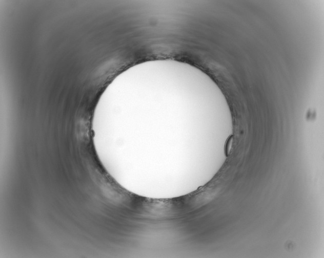 X0000093560768200711051037