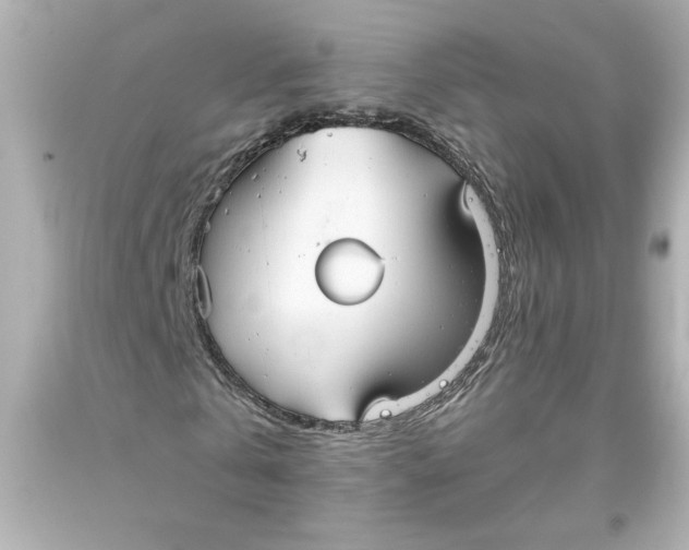 X0000093560769200711051037