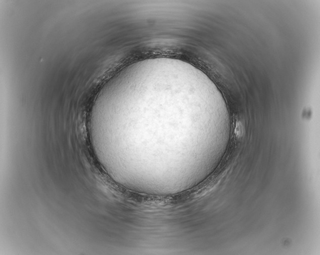 X0000093560771200711051036