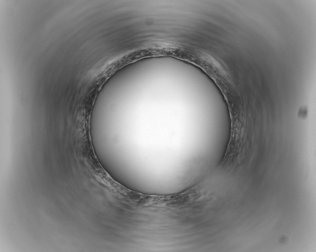 X0000093560773200711051036