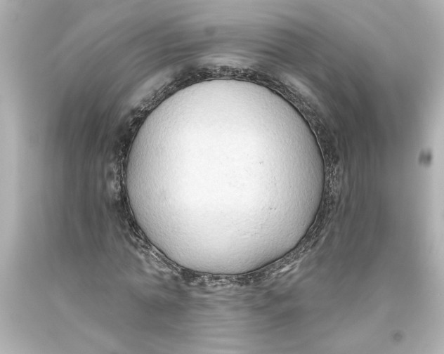 X0000093560774200711051036