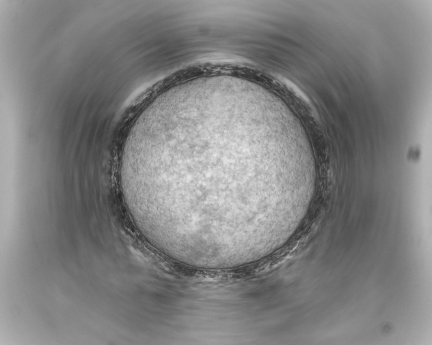 X0000093560775200711051036