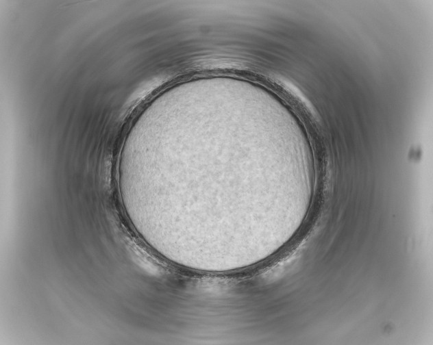 X0000093560777200711051036