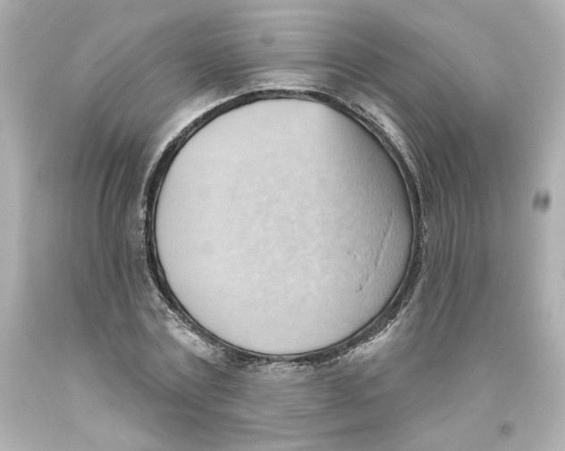 X0000093560779200711051036