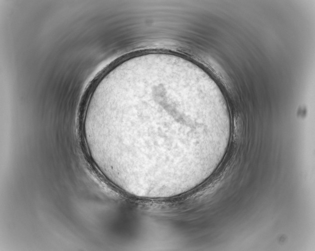 X0000093560780200711051036