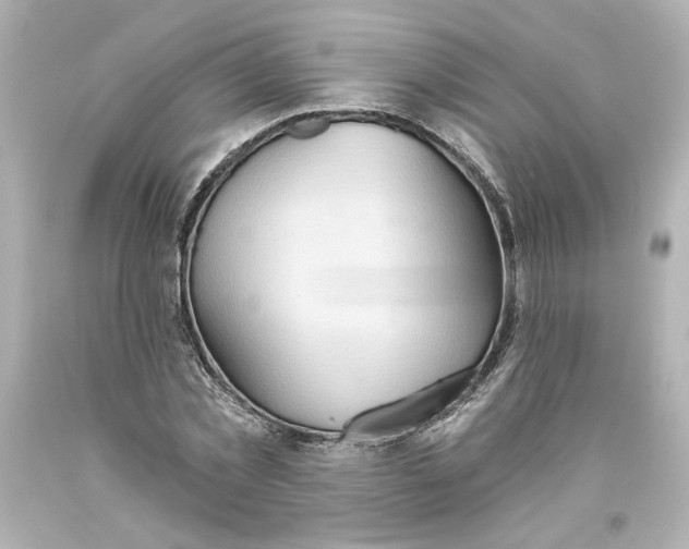 X0000093560781200711051036