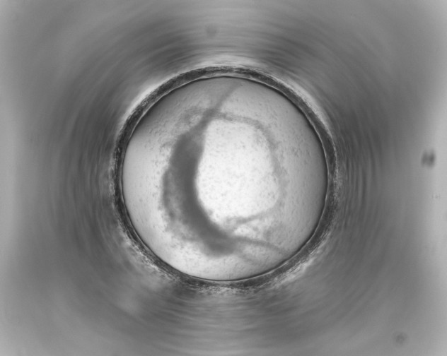 X0000093560783200711051036