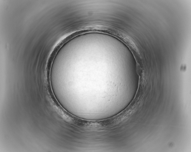 X0000093560784200711051036