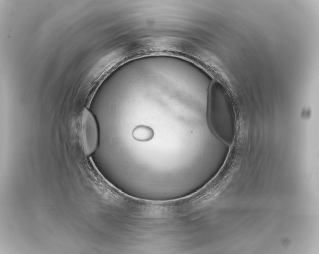 X0000093560785200711051036