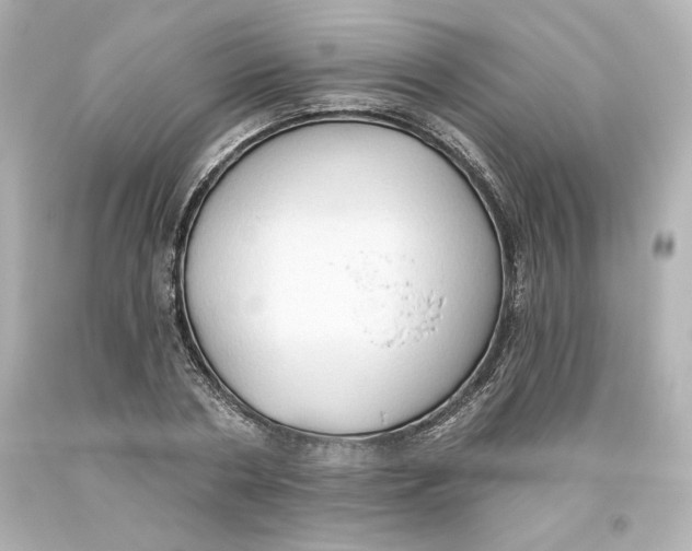 X0000093560786200711051036