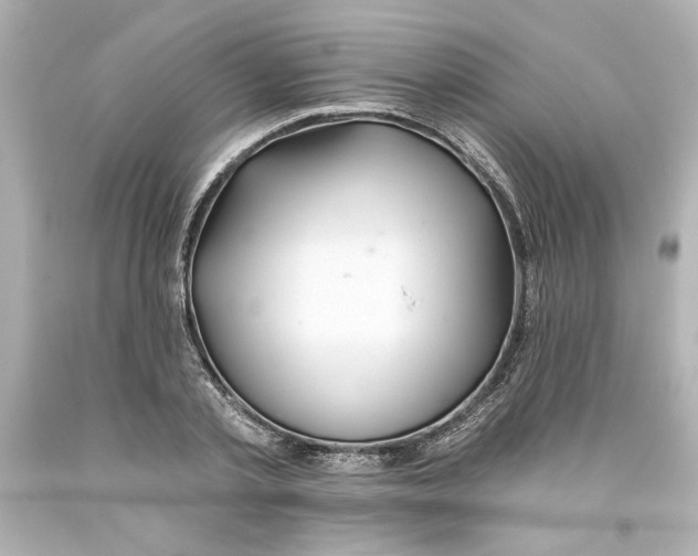 X0000093560789200711051036